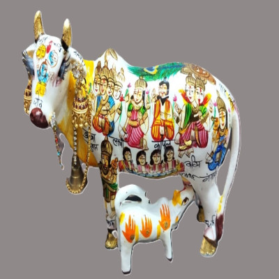 White Kamdhenu cow