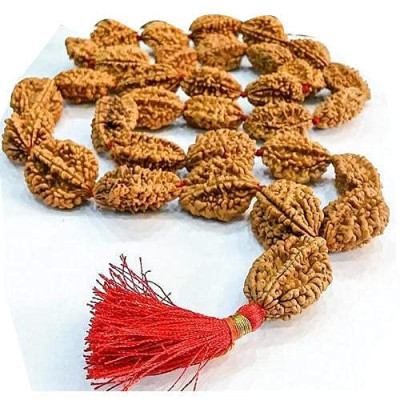 Rudraksha Mala-2Mukhi