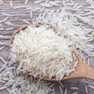Rice