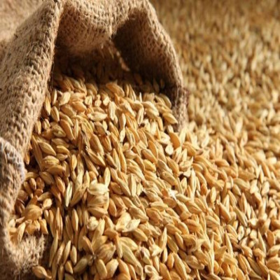 Barley 50g